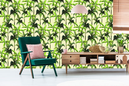 Wallpaper Green. Palm. Leaves. Nature. Nature