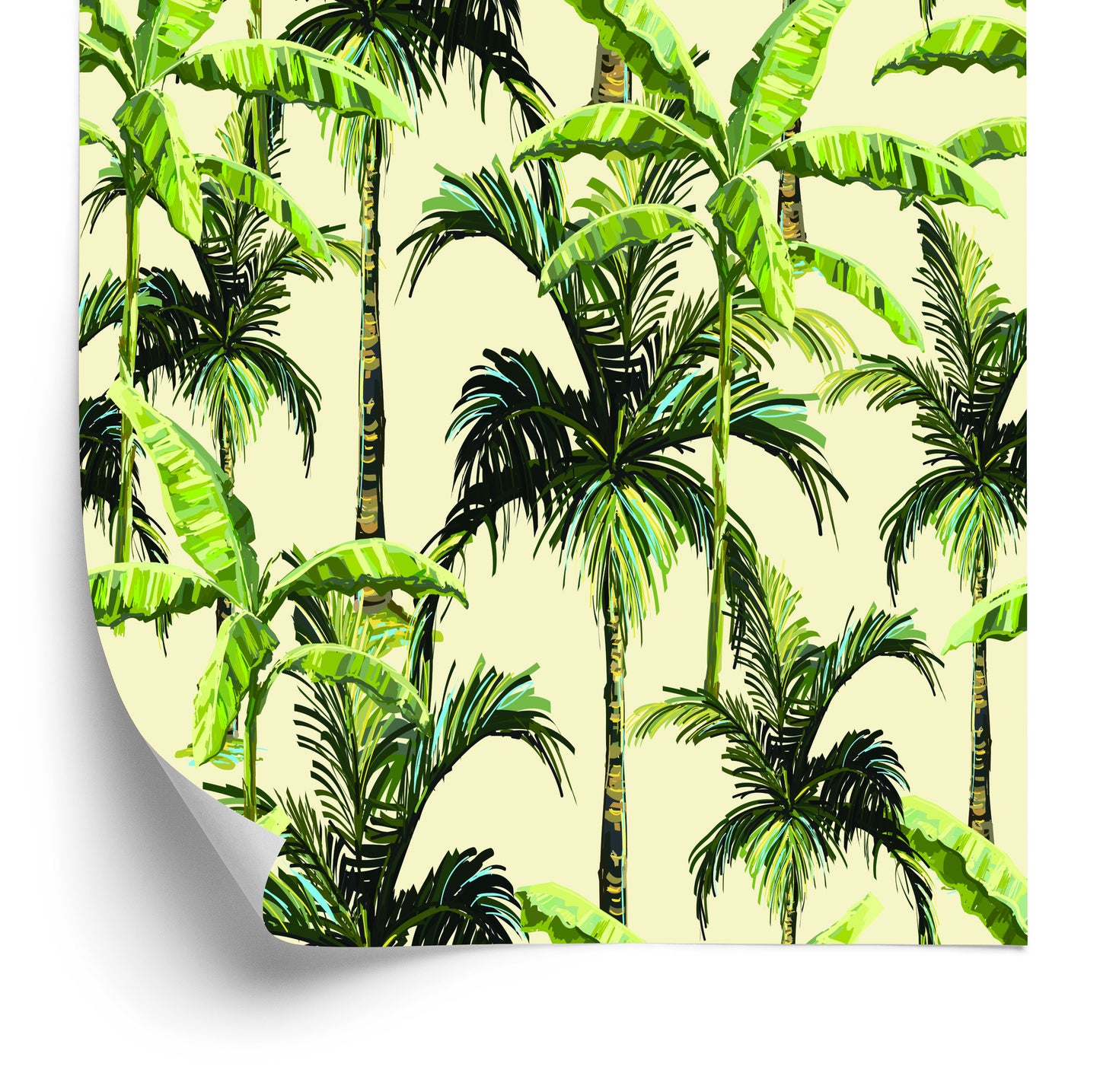 Wallpaper Green. Palm. Leaves. Nature. Nature