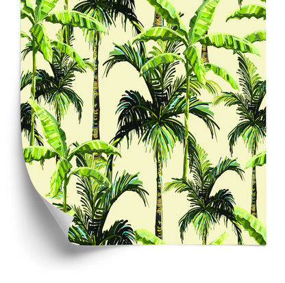 Wallpaper Green. Palm. Leaves. Nature. Nature