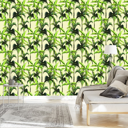 Wallpaper Green. Palm. Leaves. Nature. Nature