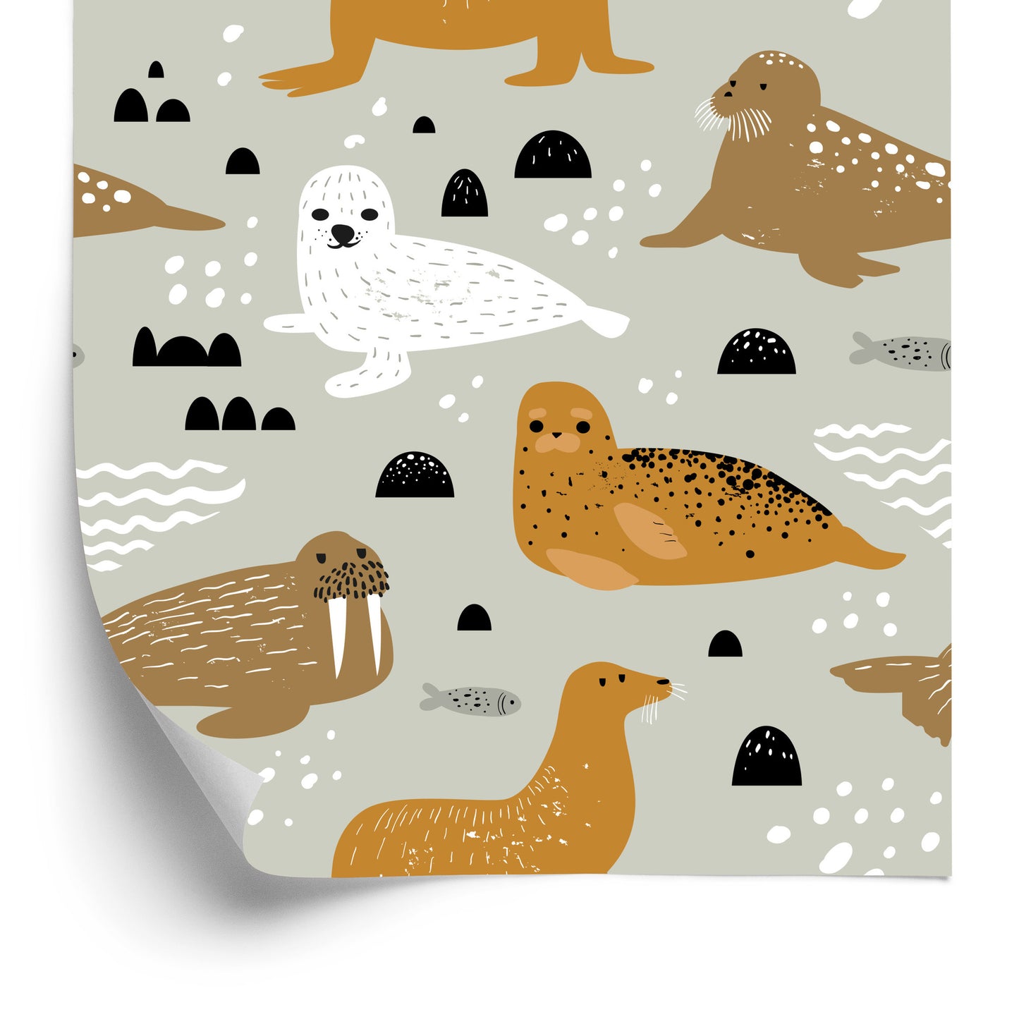 Wallpaper For Children - Seals And Walruses