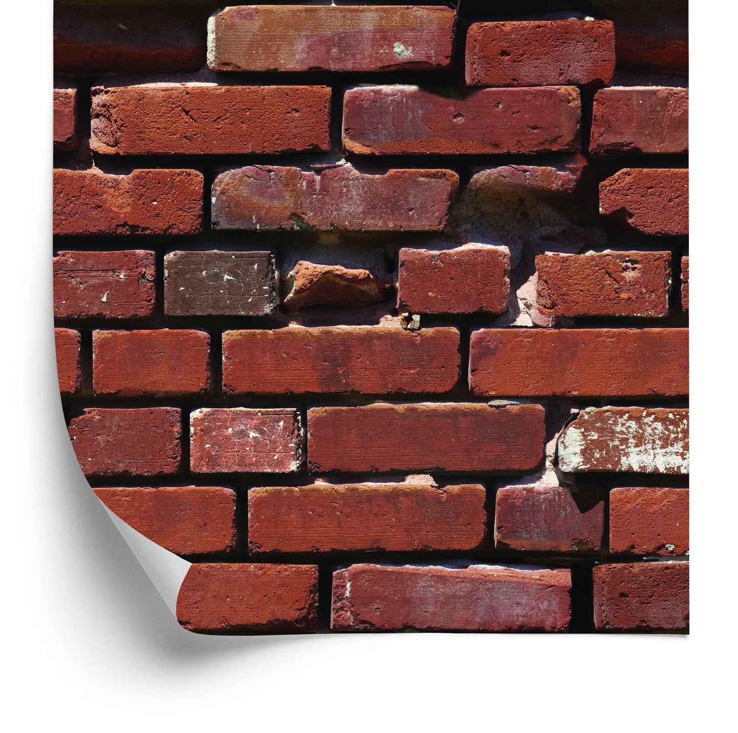 Wallpaper Red Brick