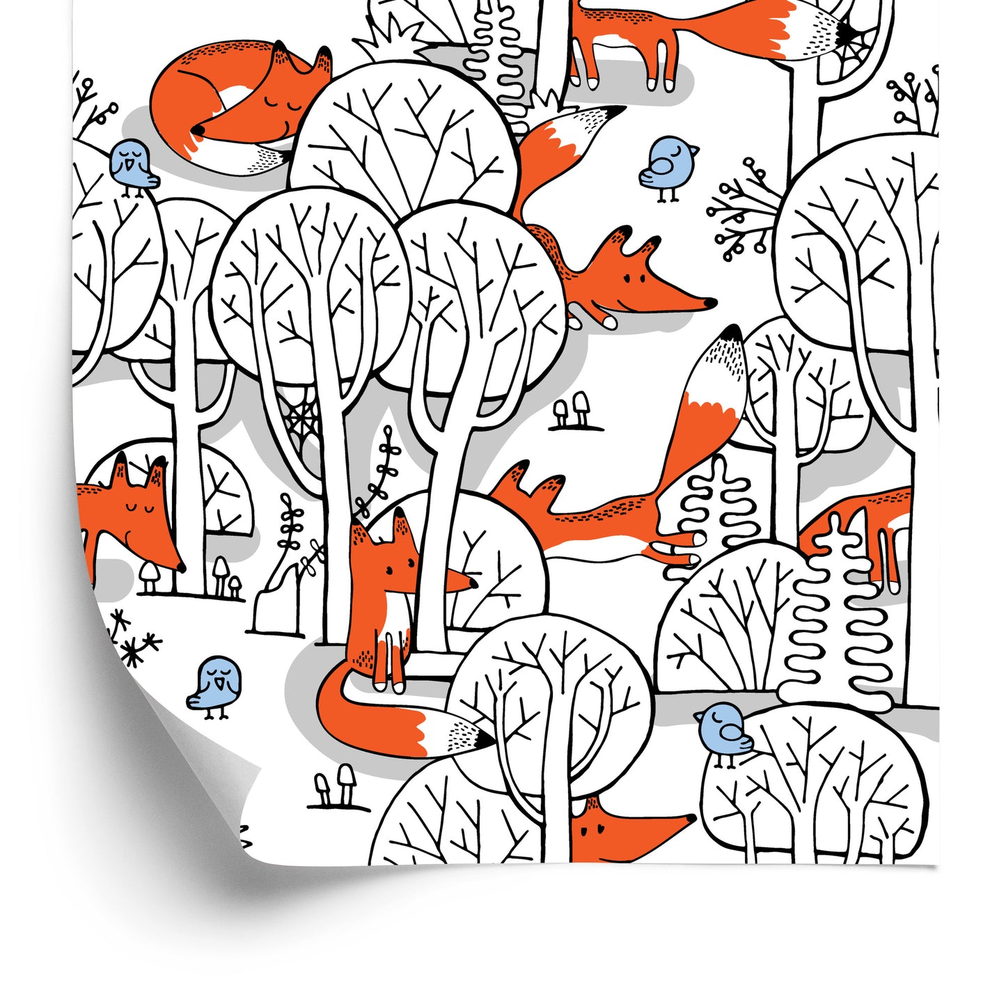 Wallpaper Smiling Foxes In The Forest