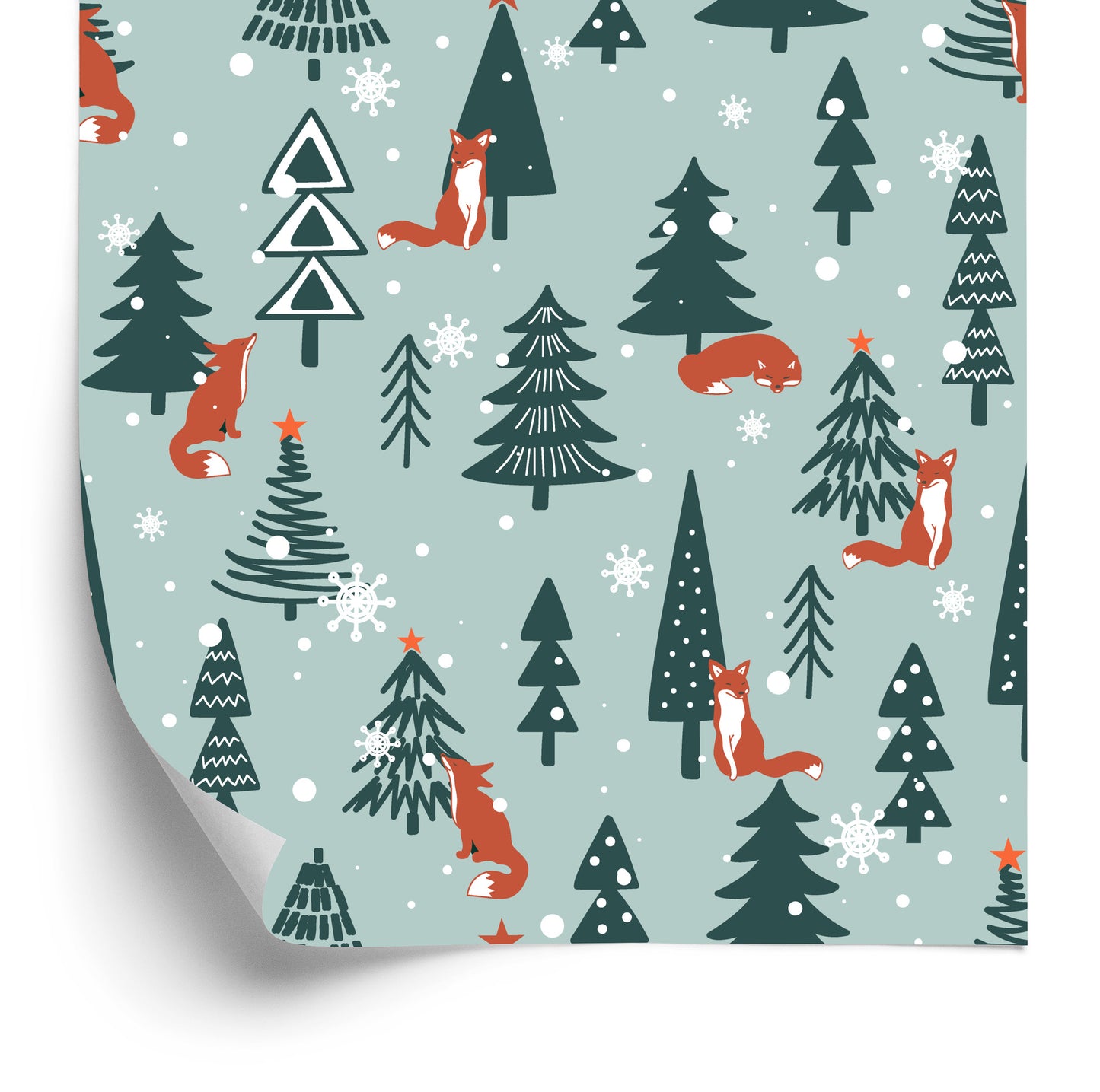 Wallpaper Sleeping Foxes In The Winter Forest