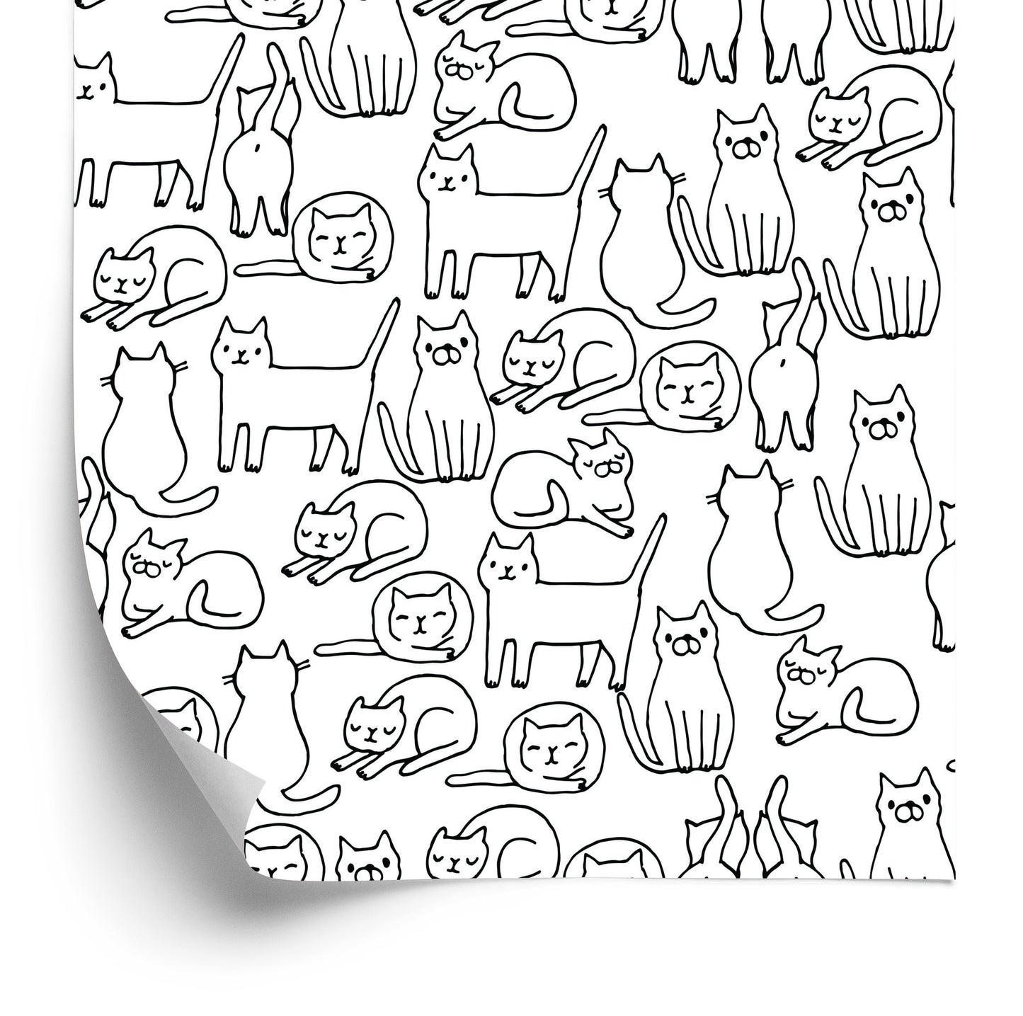 Wallpaper Cats In Black And White