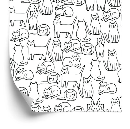 Wallpaper Cats In Black And White