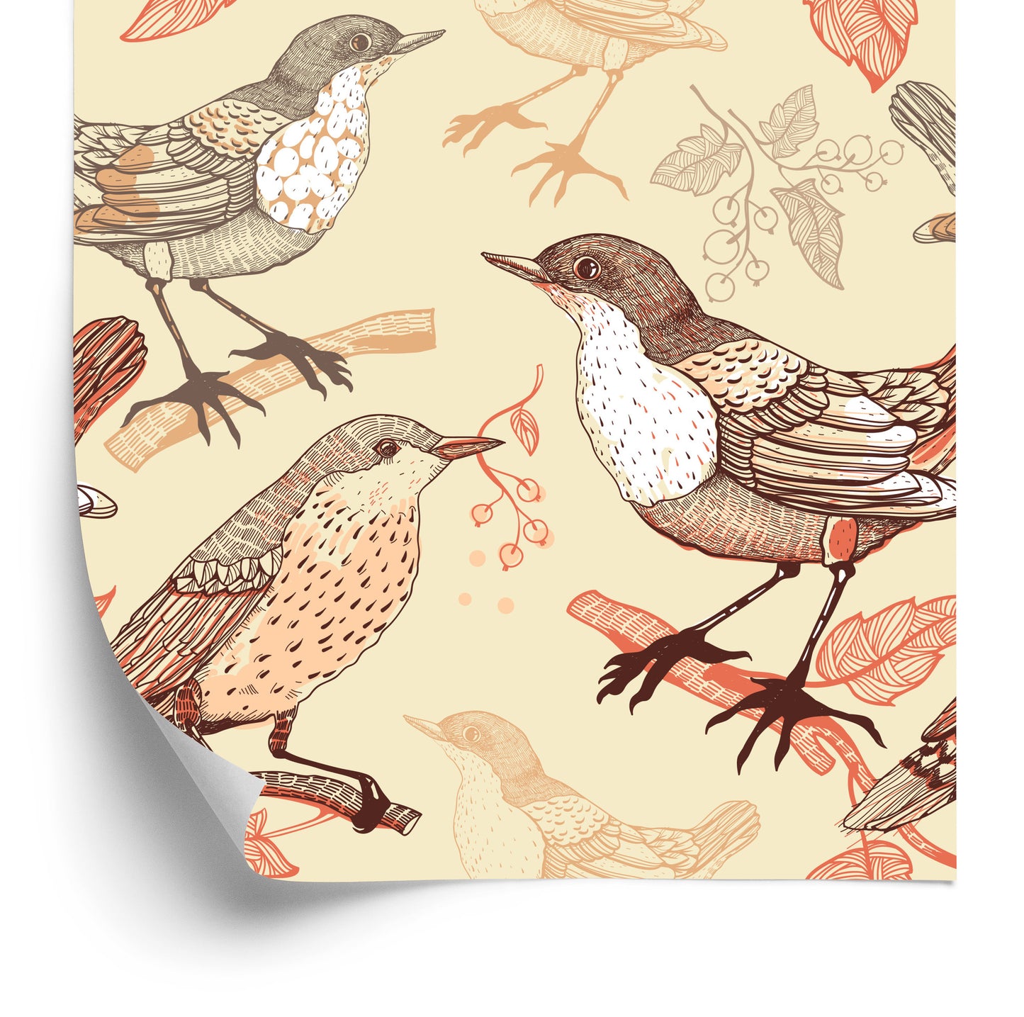 Wallpaper Birds Sitting On The Branches