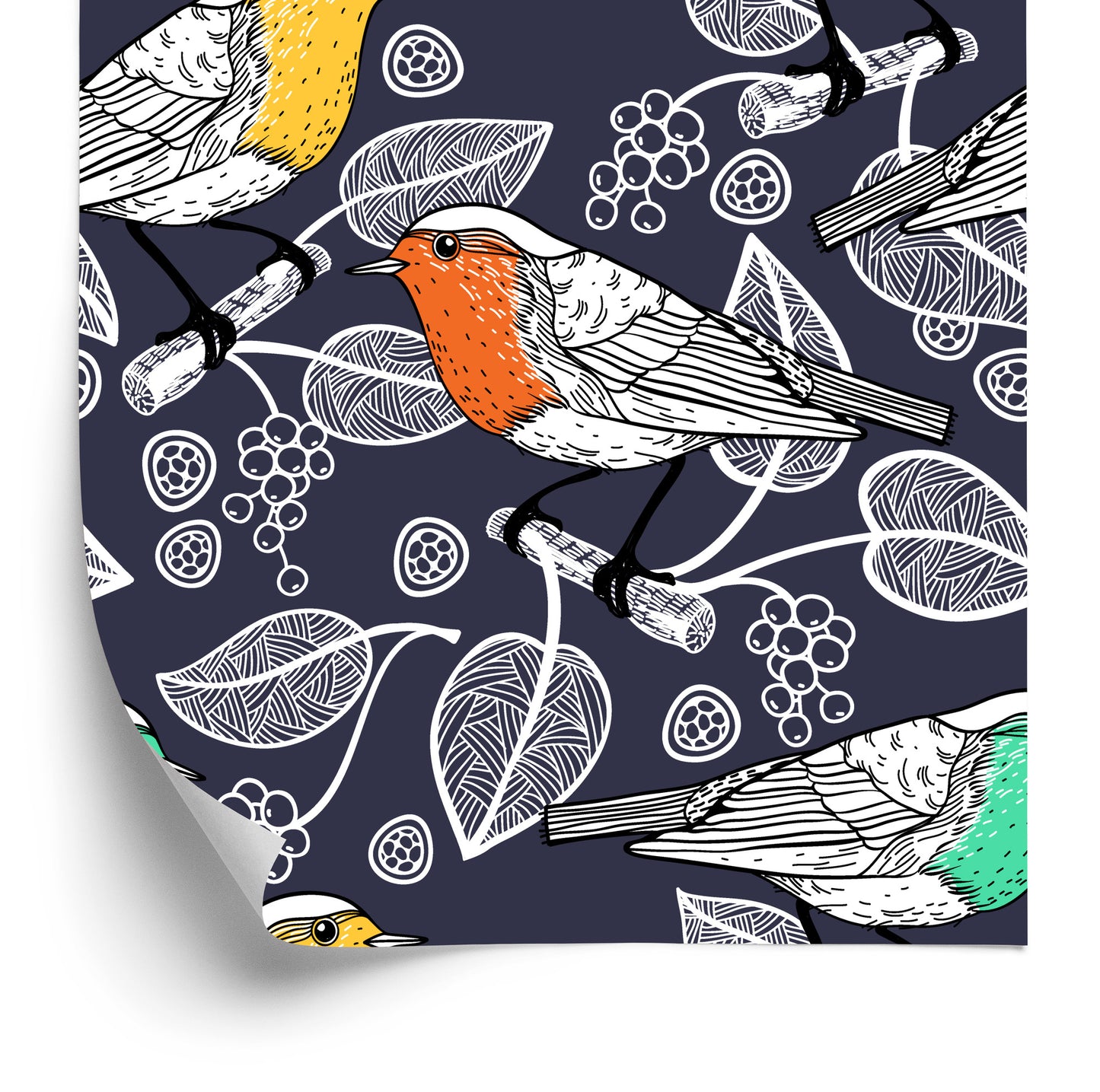 Wallpaper Beautiful Birds