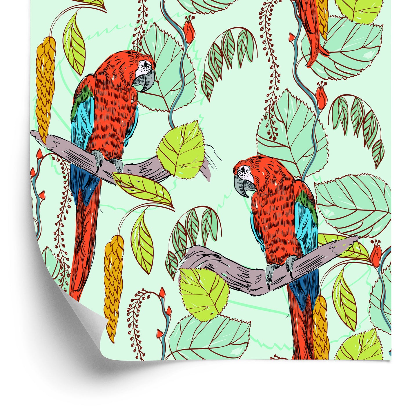 Wallpaper Beautiful Colorful Parrots
