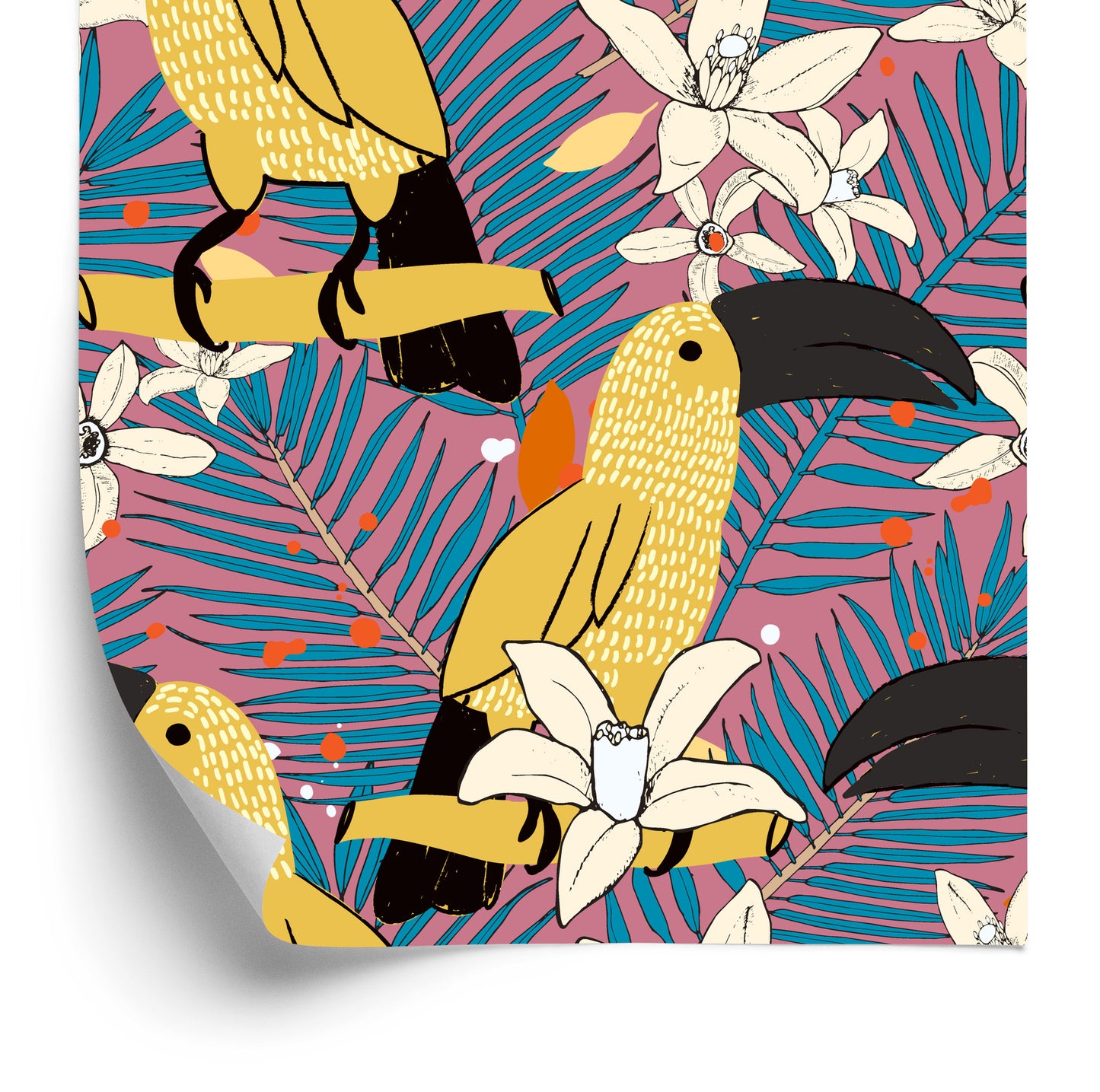 Wallpaper Toucans And Flowers