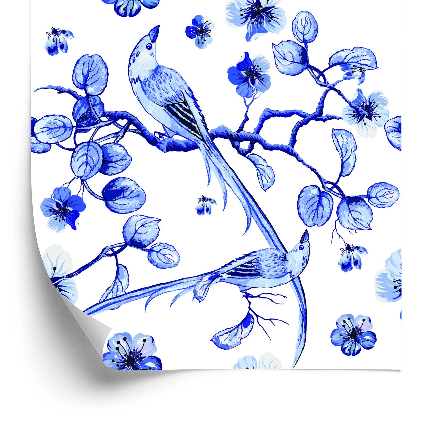 Wallpaper Beautiful Birds