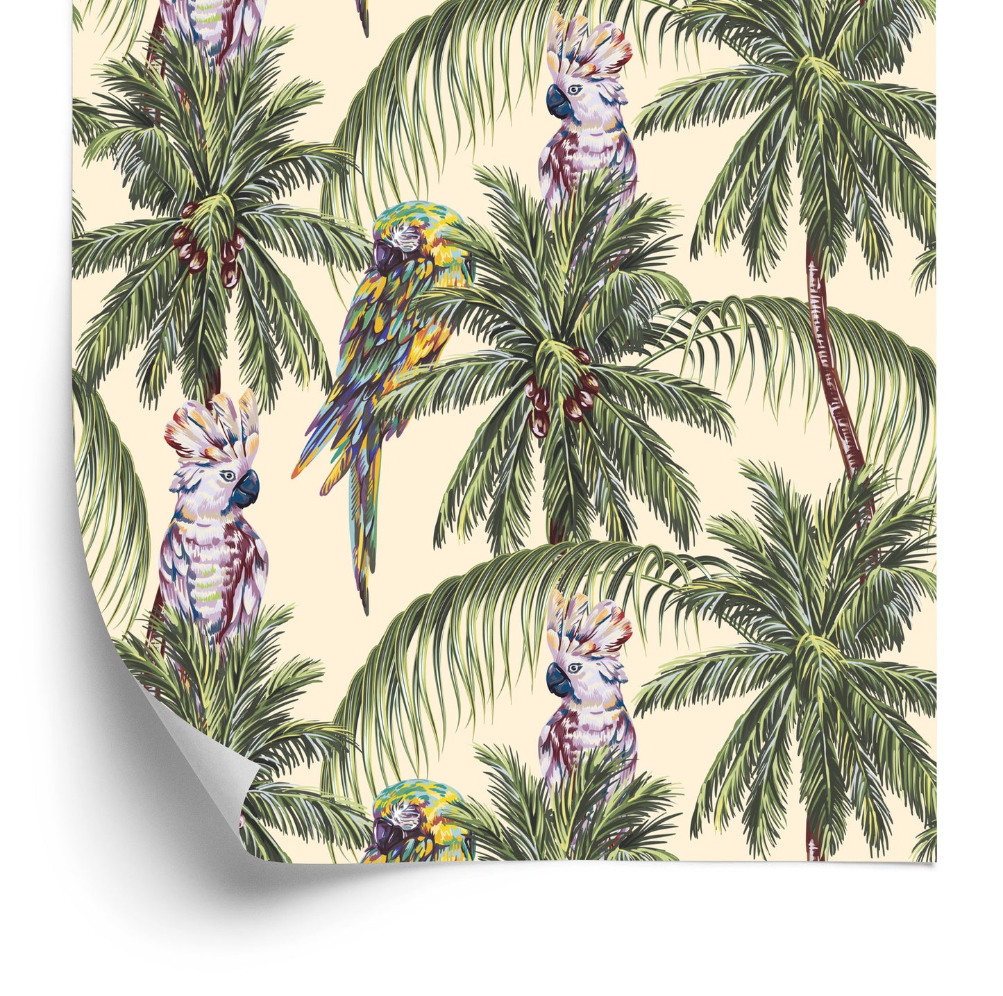 Wallpaper Colorful Parrots
