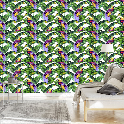 Wallpaper Colorful Birds