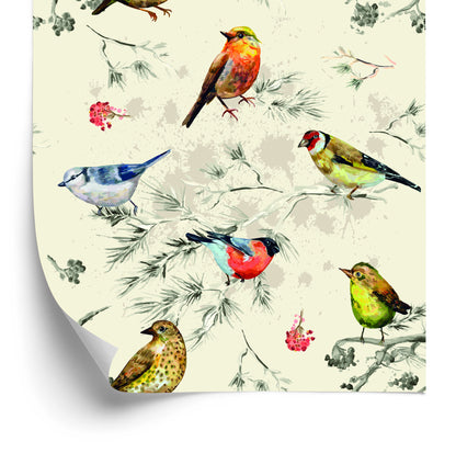 Wallpaper Colorful Birds
