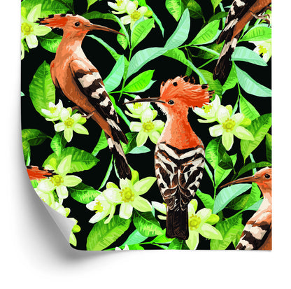 Wallpaper Hoopoes Among Flowers
