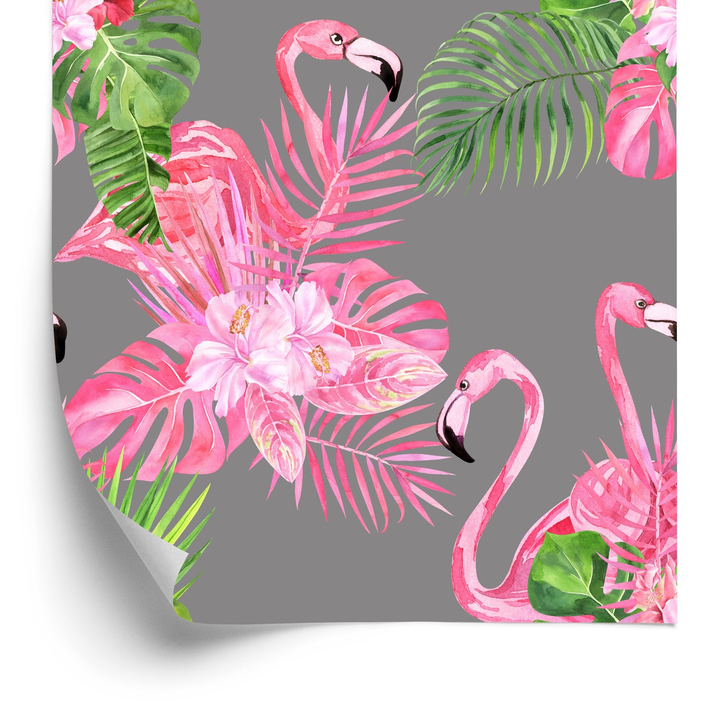 Wallpaper Flamingos. Birds. Green Leaves
