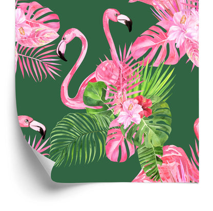 Wallpaper Flamingos, Birds, Flowers, Green