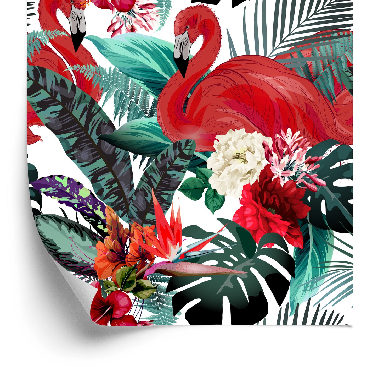 Wallpaper Flowers, Plants, Flamingos For The Living Room