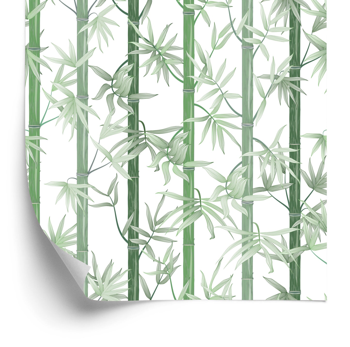 Wallpaper Beautiful Green Bamboo