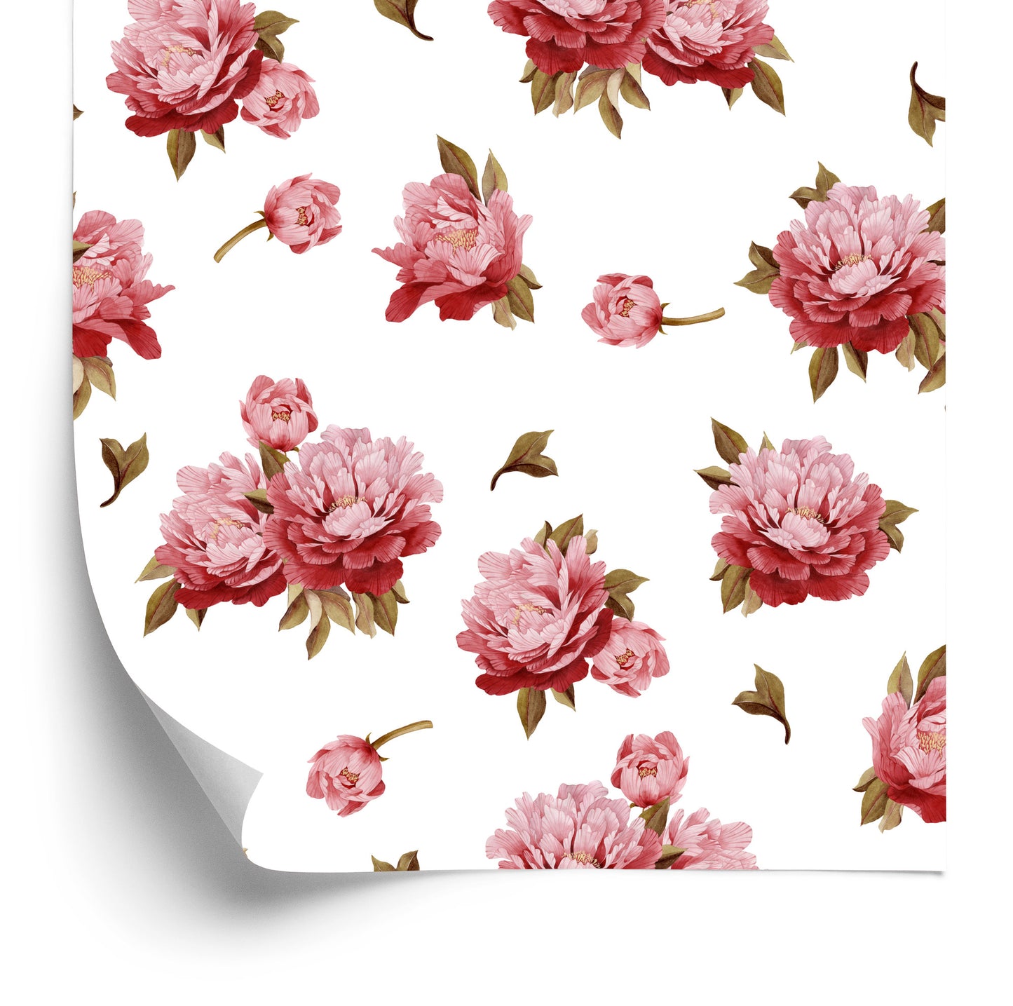 Wallpaper Colorful Peonies - Watercolor