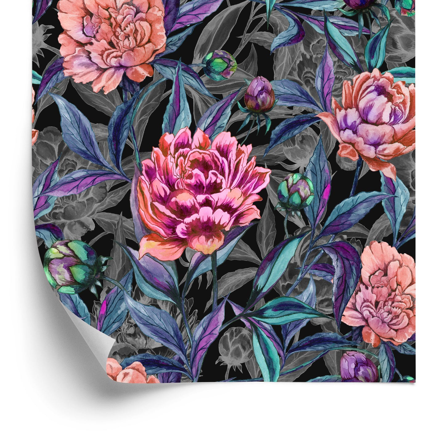 Wallpaper Beautiful Colorful Blooming Peonies Painted With Watercolors