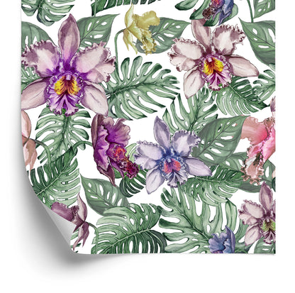 Wallpaper Colorful Orchid Flowers And Monstera Leaves