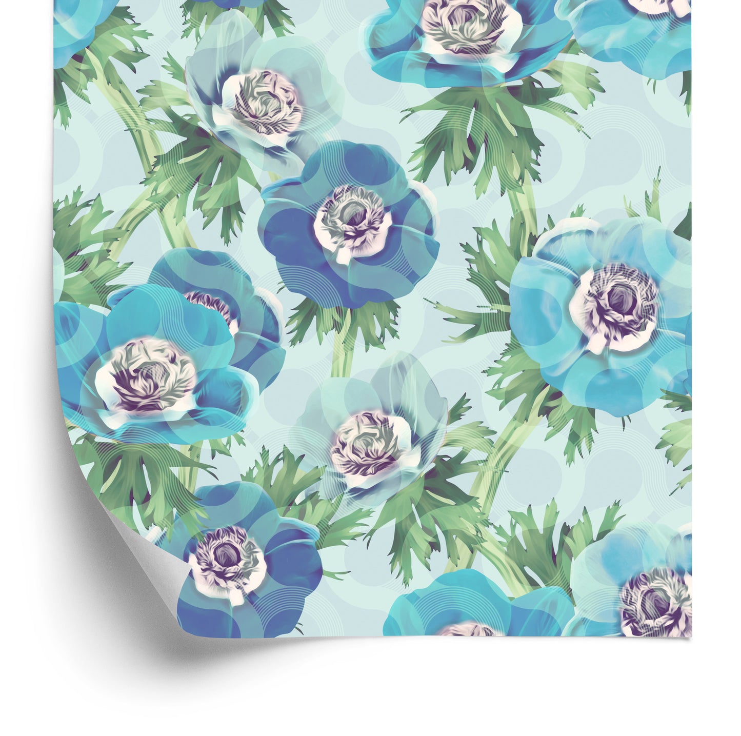 Wallpaper Beautiful Blue Anemone Flowers
