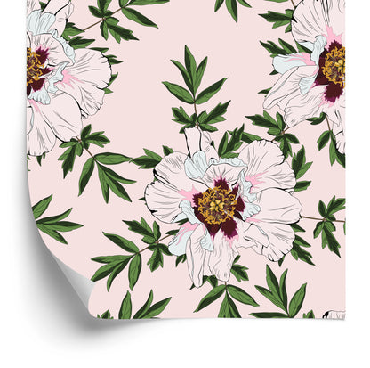 Wallpaper Beautiful Peony Flowers