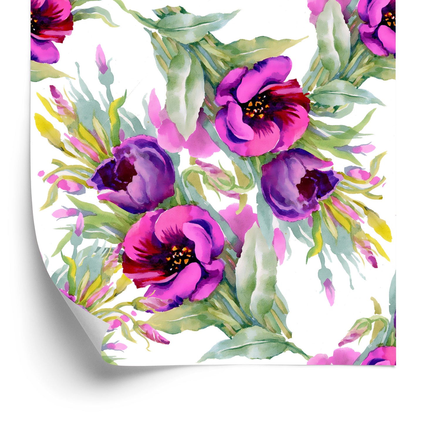 Wallpaper Colorful Medical Peonies