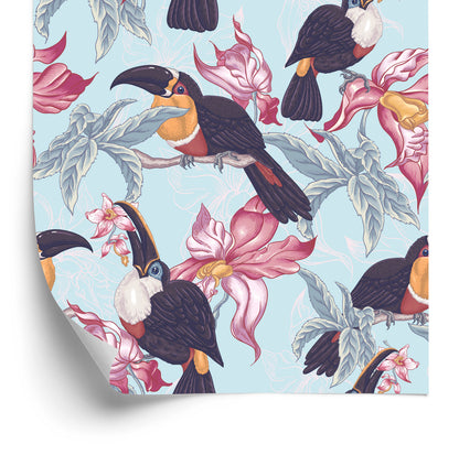 Wallpaper Toucans I.