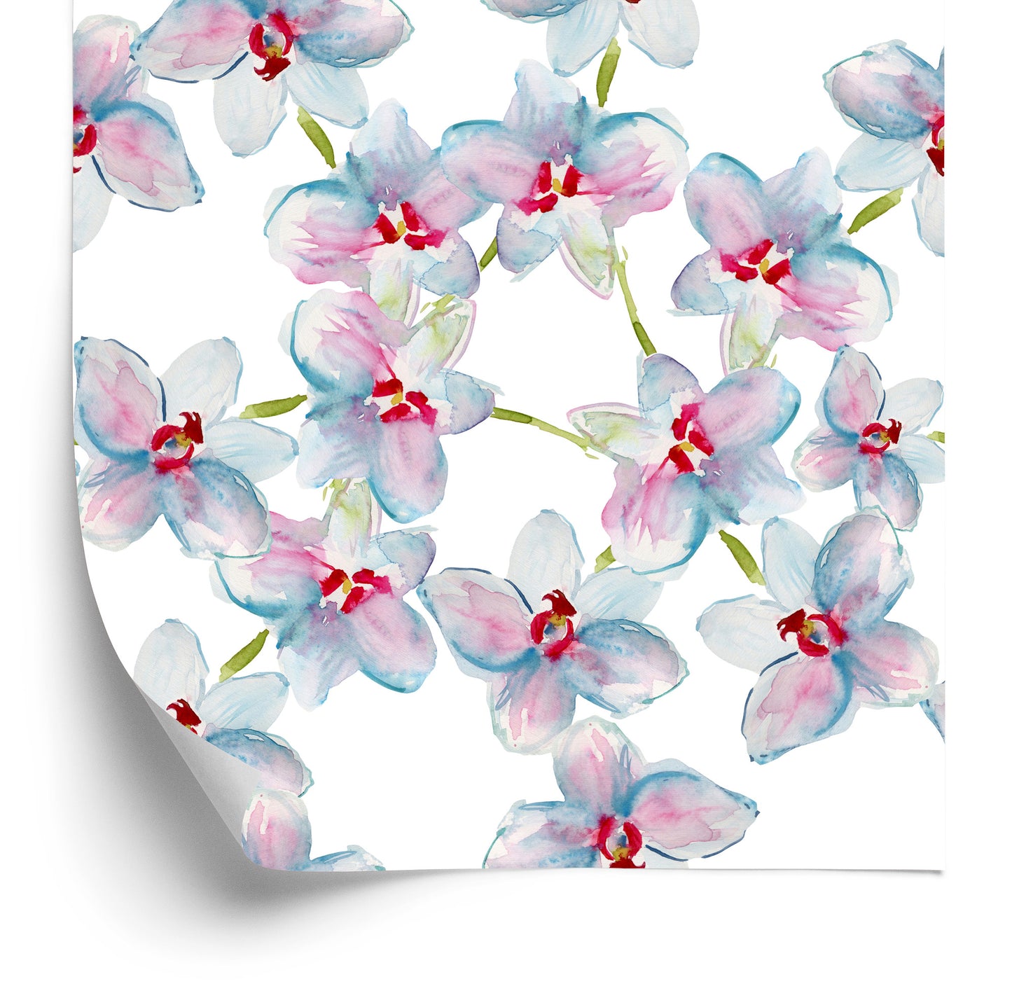 Wallpaper Bedroom. Orchids. Orchids. Nature