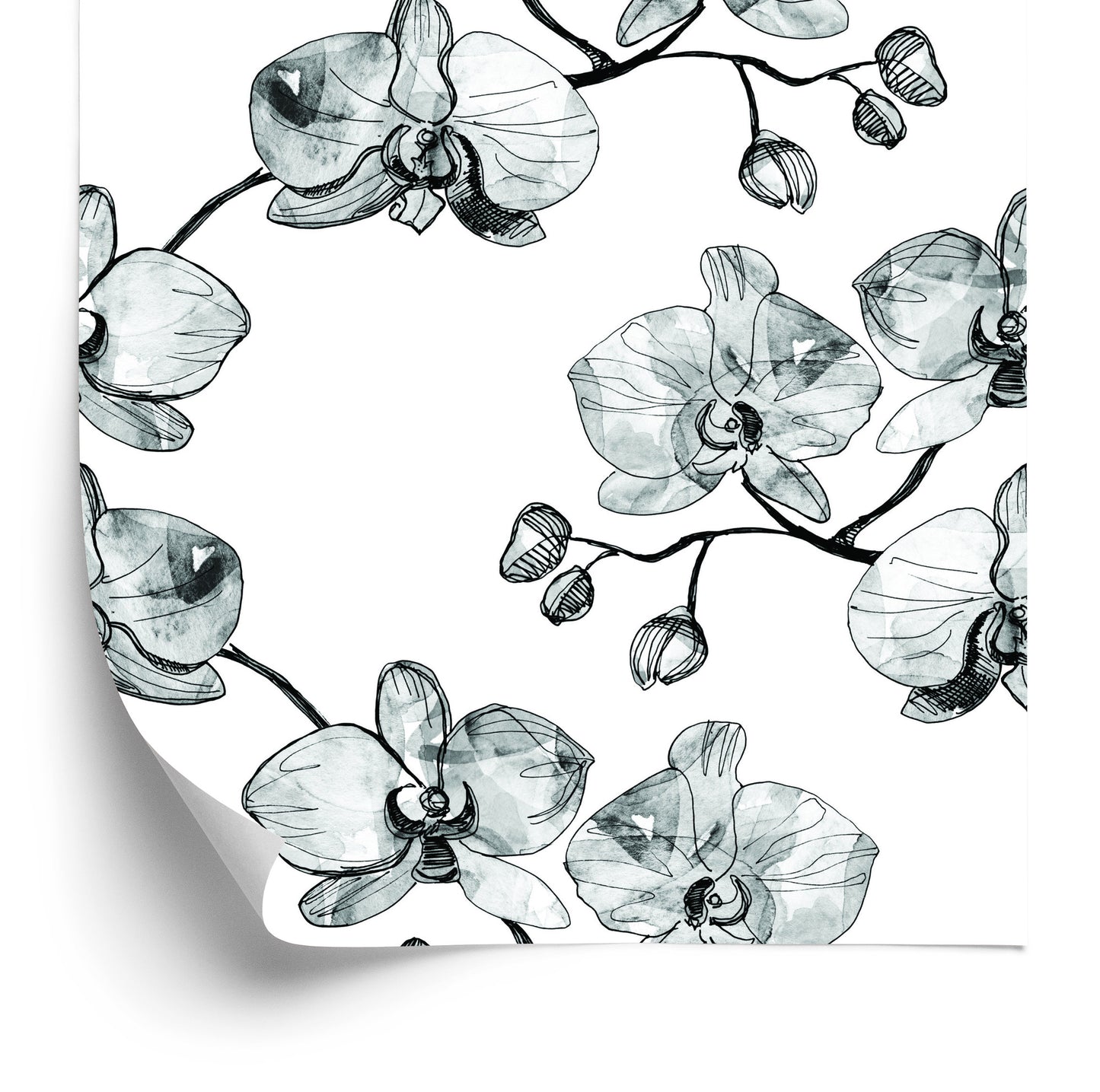 Wallpaper For The Salon Orchids Flowers Orchid Nature