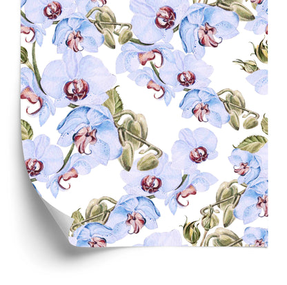 Wallpaper For Living Room Orchids, Leaves, Nature, Plants