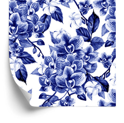Wallpaper Orchid. Orchid. Nature Plants