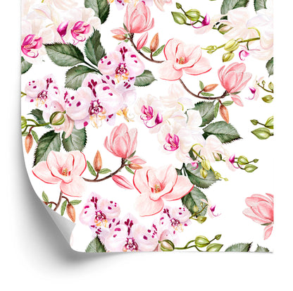 Wallpaper Orchid Orchid Flowers Nature For Living Room