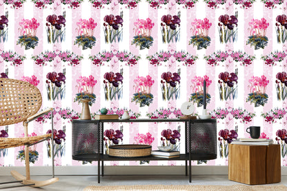 Wallpaper Plants, Flowers, Nature, Orchids