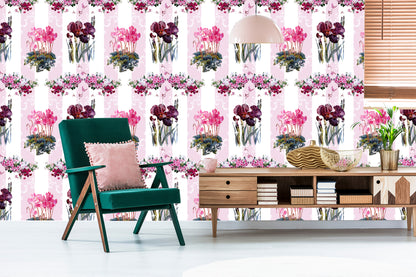 Wallpaper Plants, Flowers, Nature, Orchids