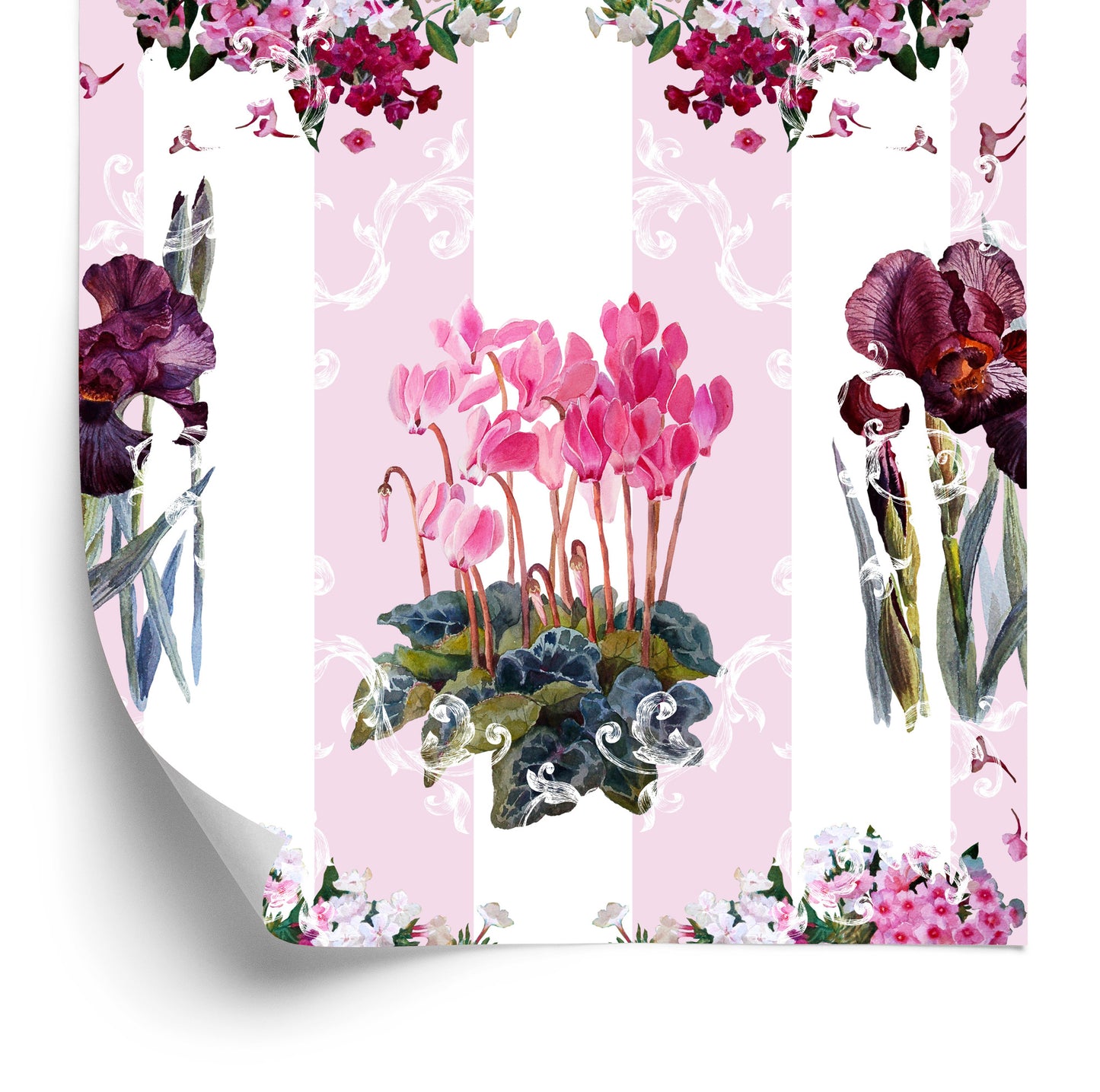 Wallpaper Plants, Flowers, Nature, Orchids