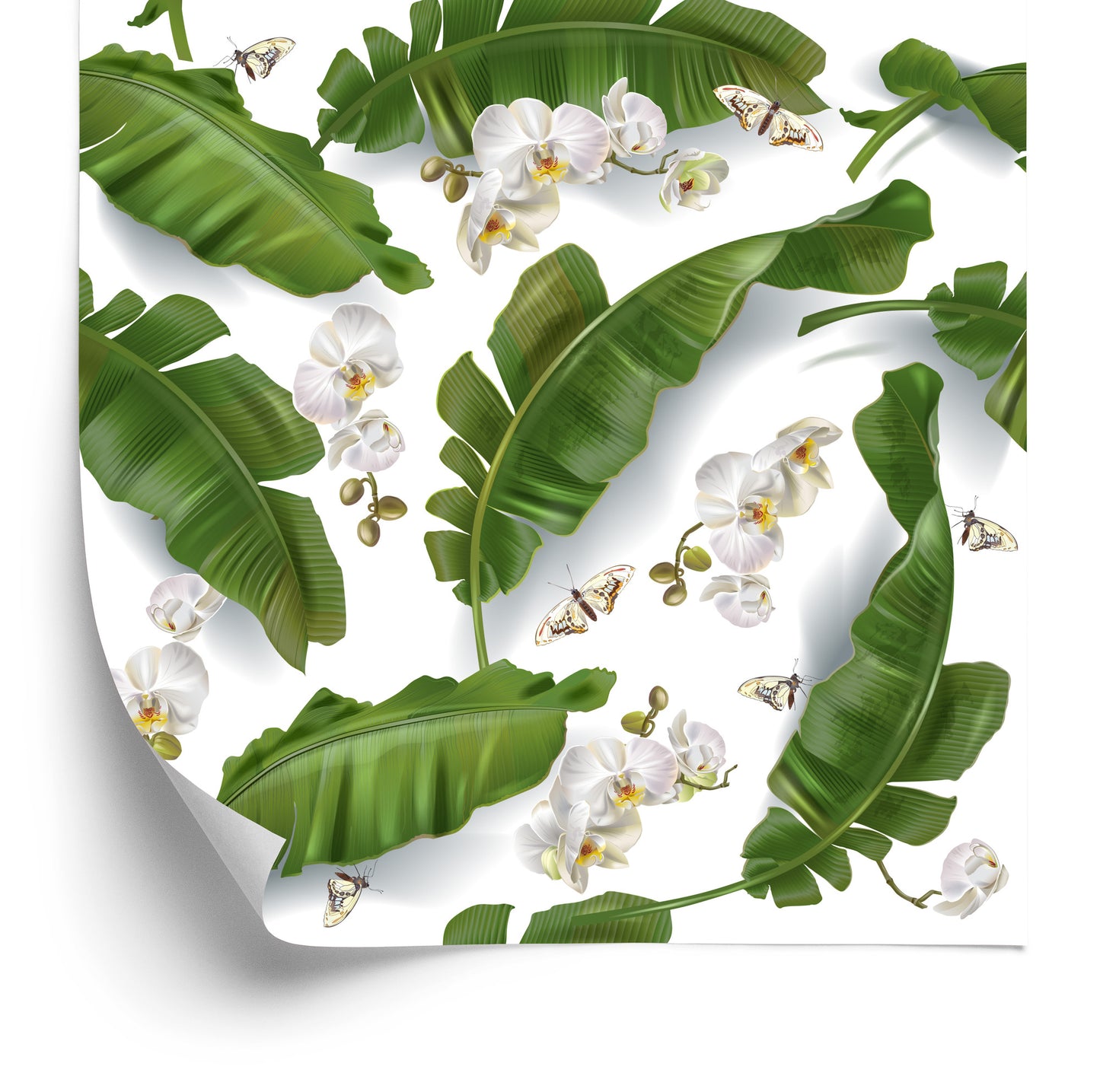 Wallpaper Flowers Of Orchids Nature For The Salon