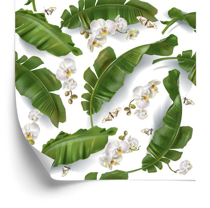 Wallpaper Flowers Of Orchids Nature For The Salon