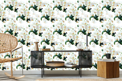 Wallpaper For The Bedroom Exotic Orchids Orchids