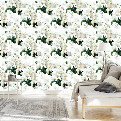 Wallpaper For The Bedroom Exotic Orchids Orchids