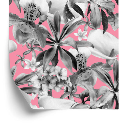 Wallpaper Orchid. Nature. Plants. Nature