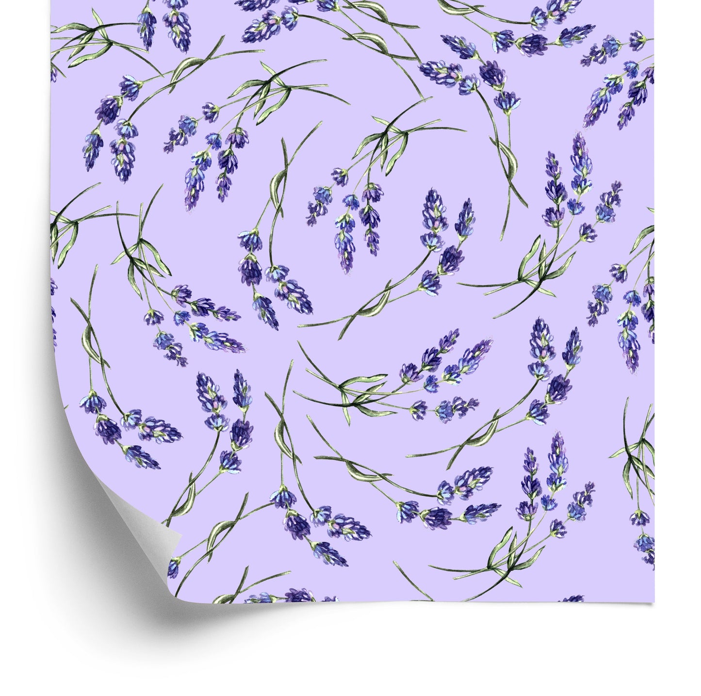 Wallpaper The Nature Of Lavender