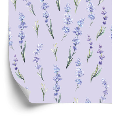 Wallpaper Lavender Nature