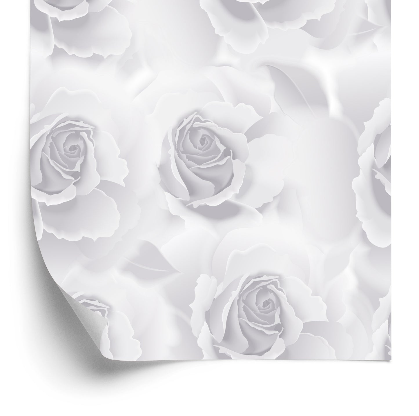 Wallpaper Gray Roses