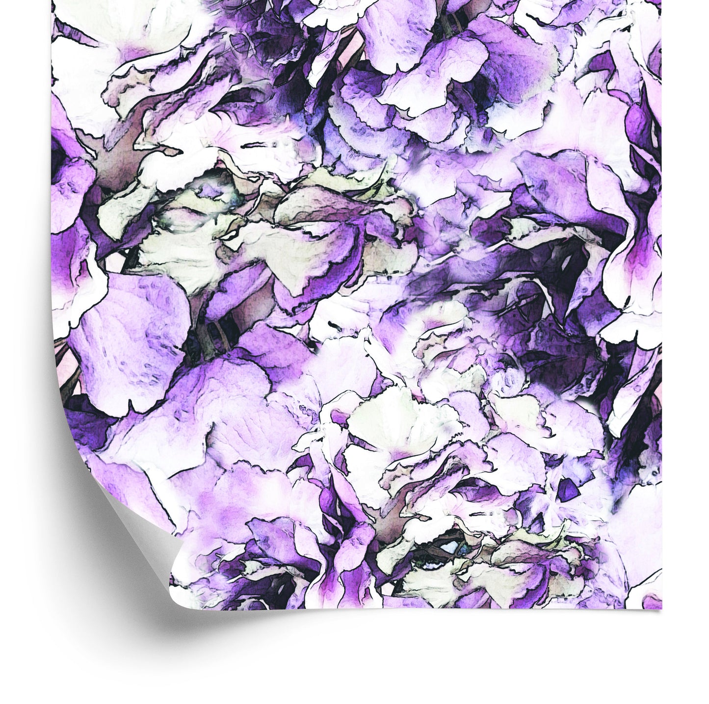 Wallpaper Colorful Peonies