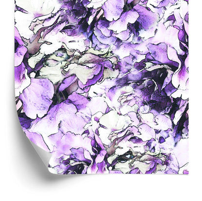 Wallpaper Colorful Peonies