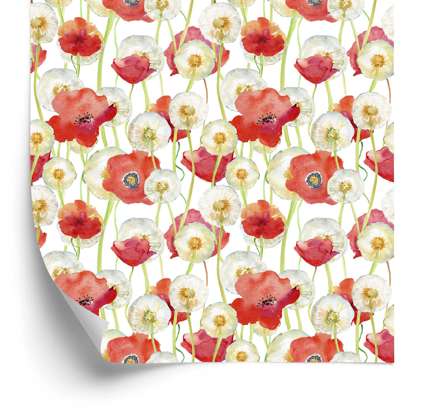 Wallpaper Poppies And Dandelions