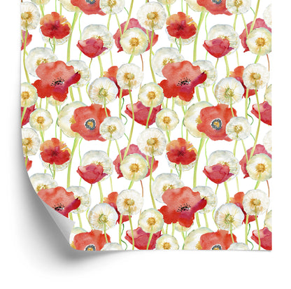 Wallpaper Poppies And Dandelions